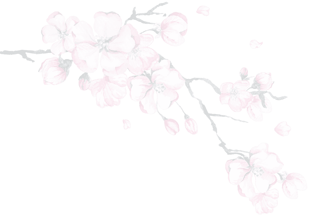 Sakura blossom background