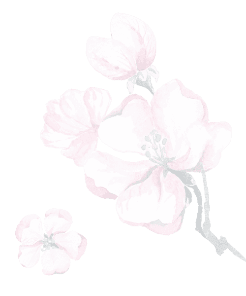 Will the web developer.